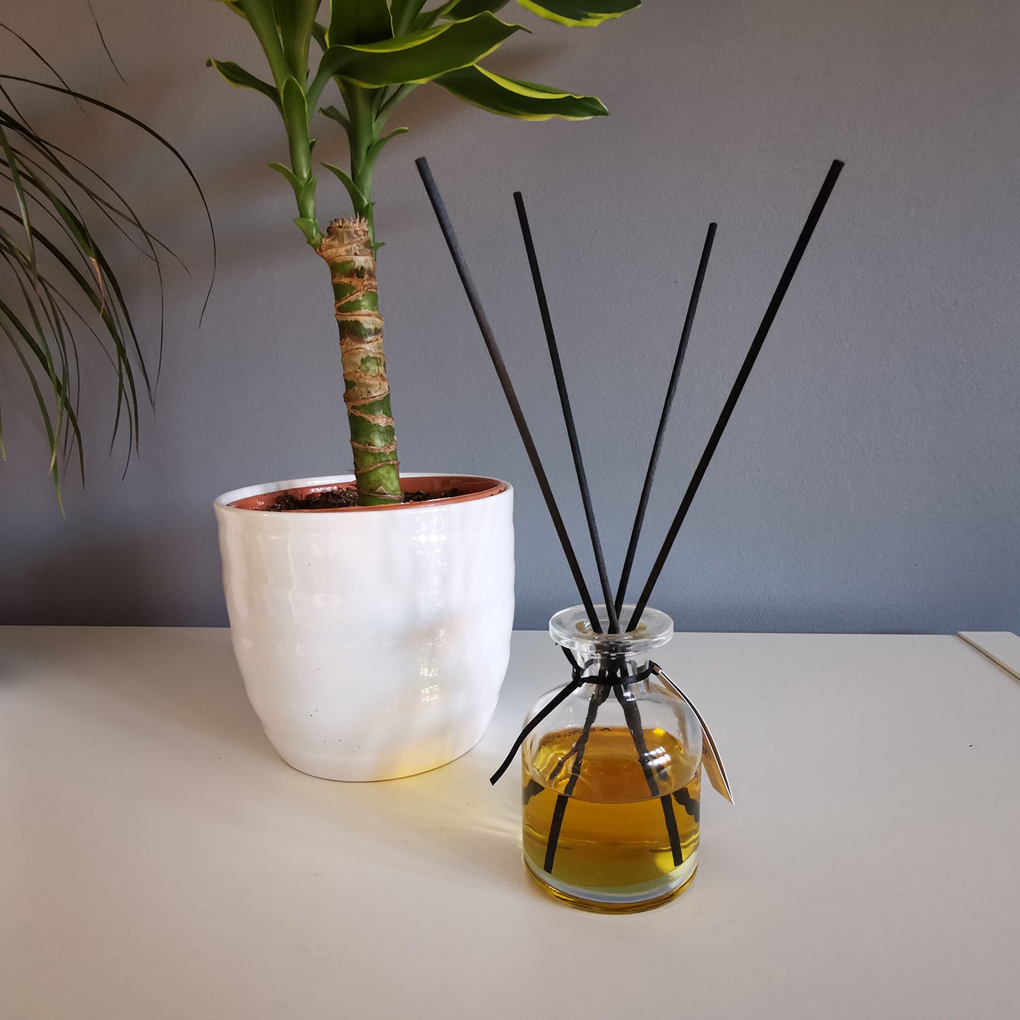 Fibre Black Reed Diffuser 25cm x 3mm