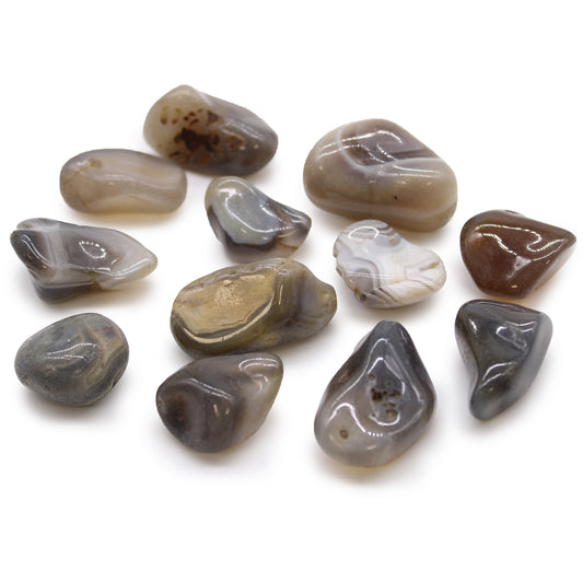 Medium African Tumble Stones - Grey Agate - Botswana