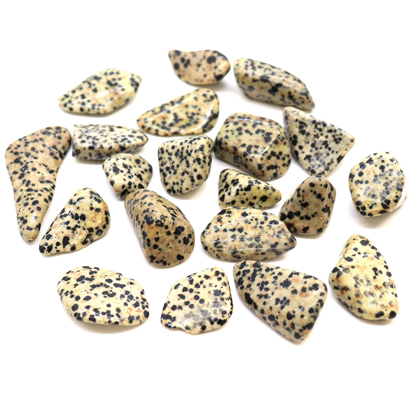 L Tumble Stones - Dalmation Stone