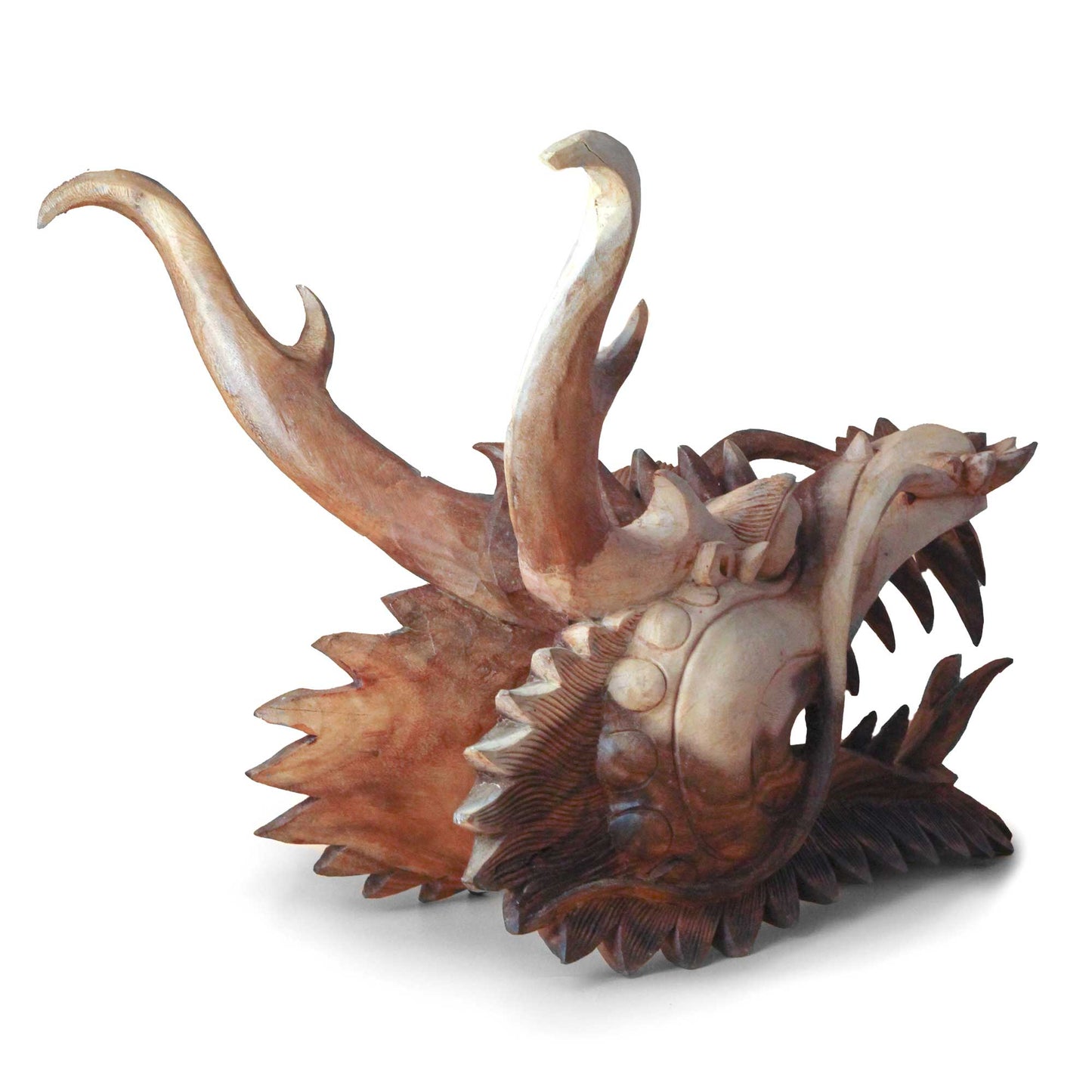 Live Size Dragon Head Carving  - 30cm